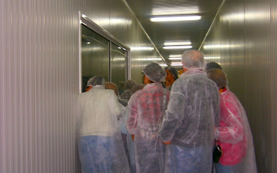 Salida a Como en casa y Ninfeo del Vino