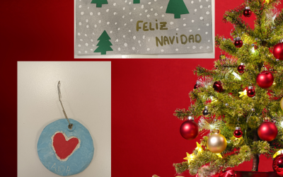 FIESTA DE NAVIDAD